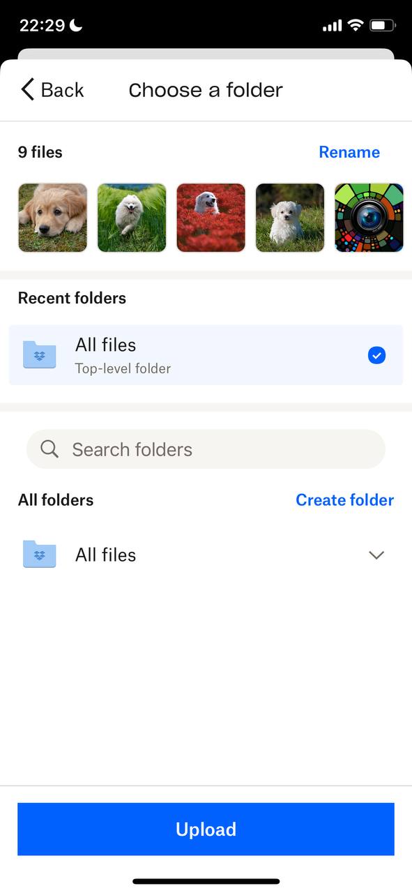 7 Ways To Stop Duplicate Photos On IPhone And Remove Already Present