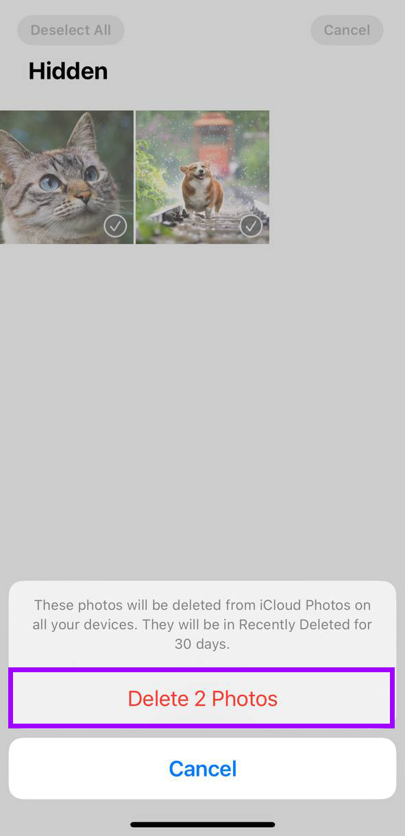 confirm deletion of hidden photos