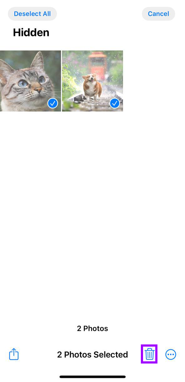 tap on trash to delete hidden photos on iPhone