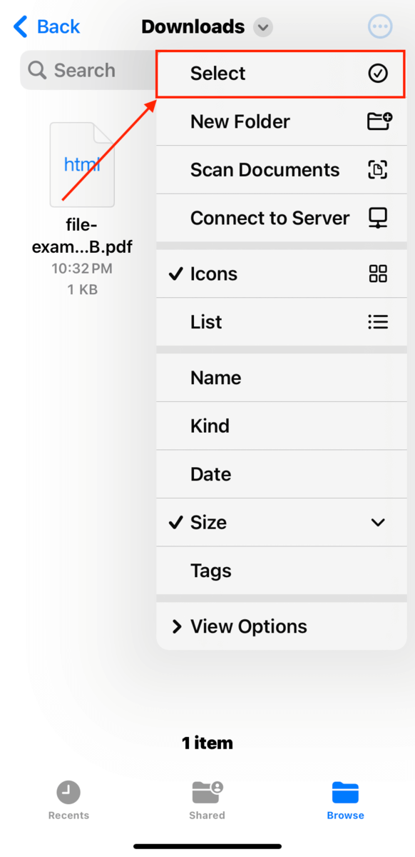Select button in the Downloads dropdown menu