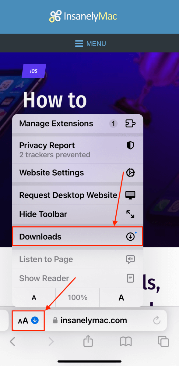 Downloads button in Safari