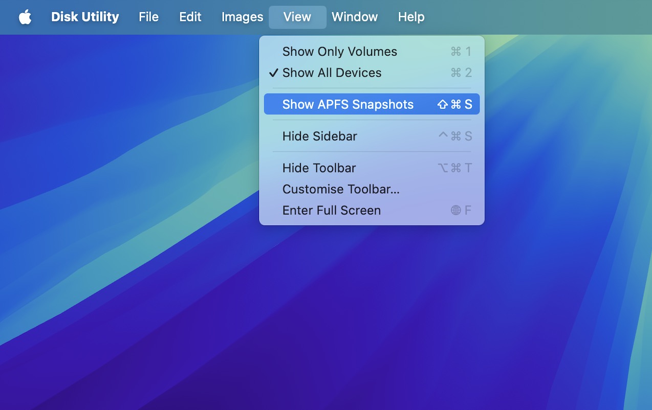 Choose "Show APFS Snapshots"