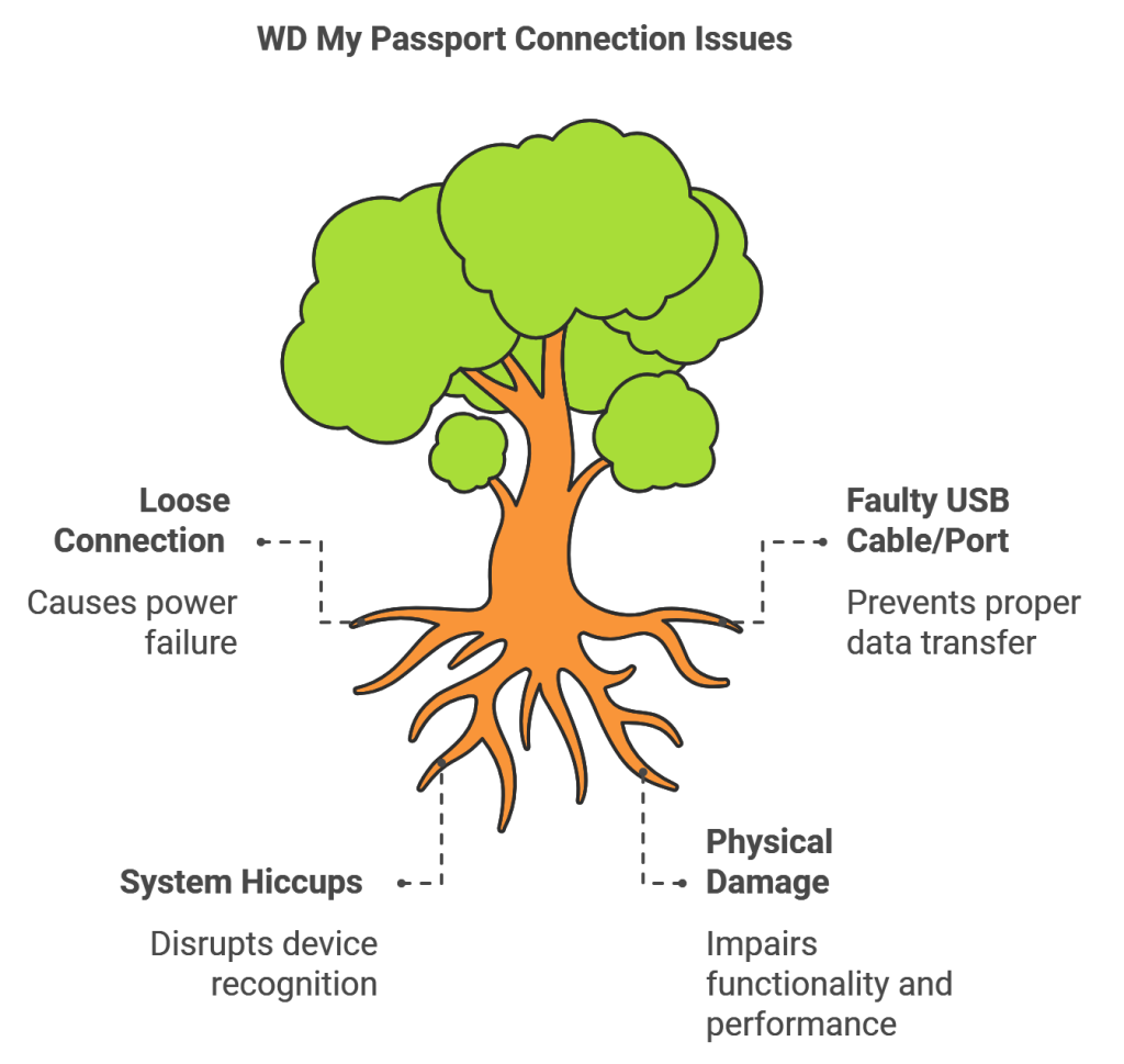 Basic WD My Passport Checks