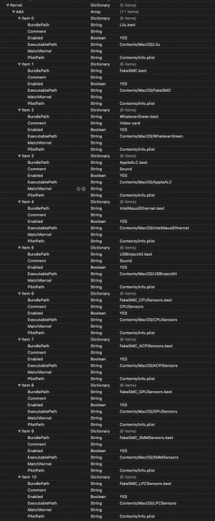 Example of Kernel-  add- Items -included FakeSMC_plugIns 2019-07-28 11.37.11.png