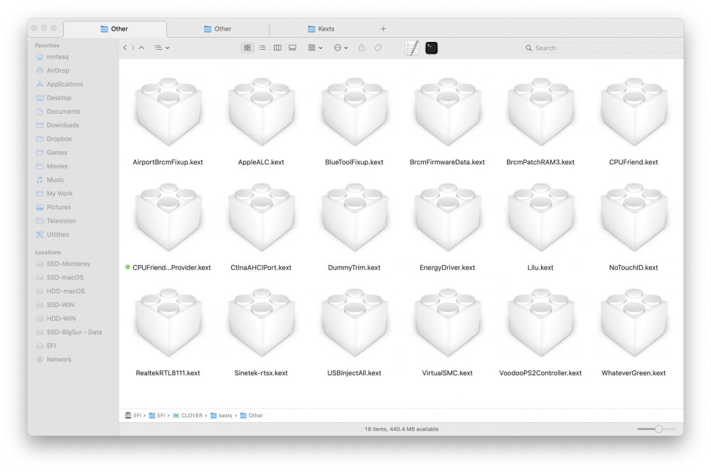 563690628_CloverOtherKexts.thumb.jpg.8bfb9ae2693e8c1d9a4e7902d274d958.jpg
