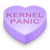 panic kernel